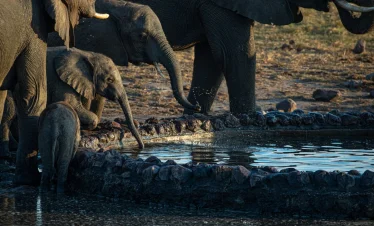 Game Drive
