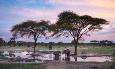Hwange Day Trip
