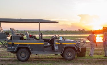 Night Game Drive
