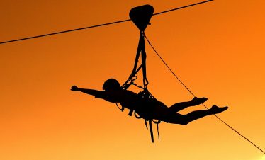 Flying Fox